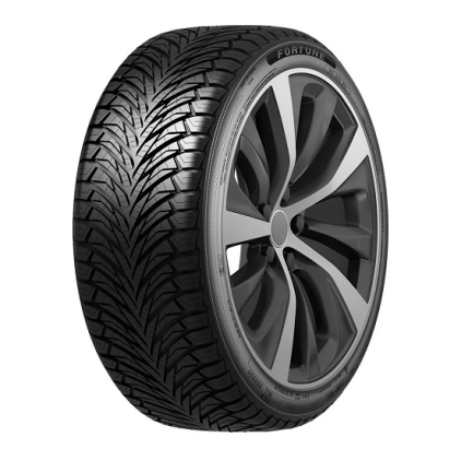 Шины Fortune Fitclime FSR-401