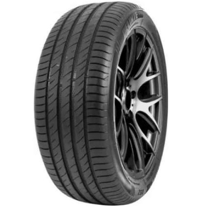 Шины Delinte DS2